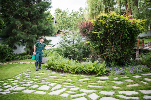 Best Bird Control  in Aurora, IL