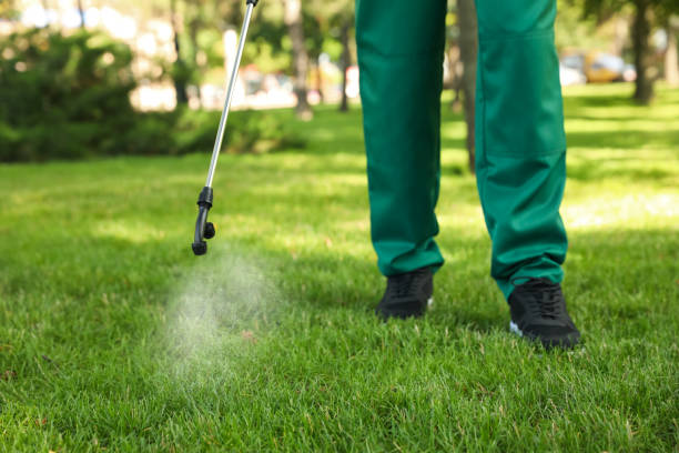 Best Affordable Pest Control Services  in Aurora, IL
