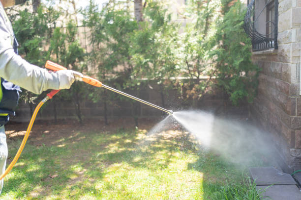 Best Insect Control  in Aurora, IL