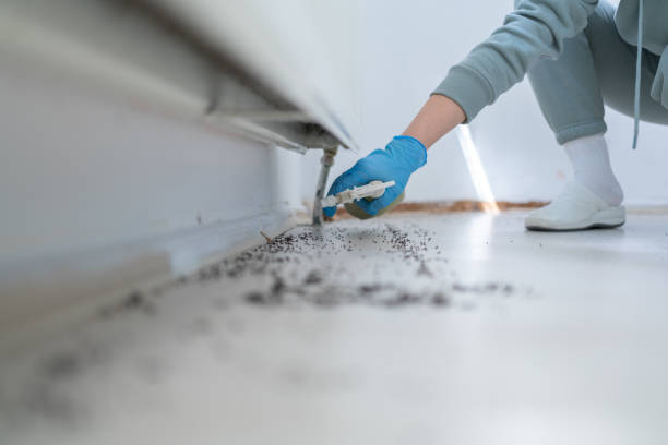 Best Emergency Pest Control  in Aurora, IL